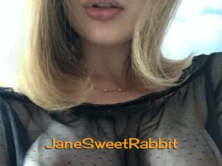 JaneSweetRabbit