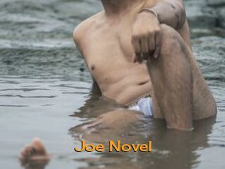 Joe_Novel
