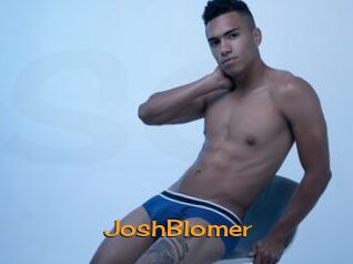 JoshBlomer