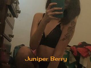 Juniper_Berry