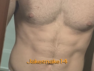 Jakesnake14