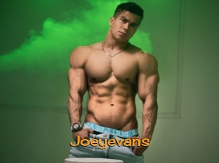 joeyevans Sortez Couvert