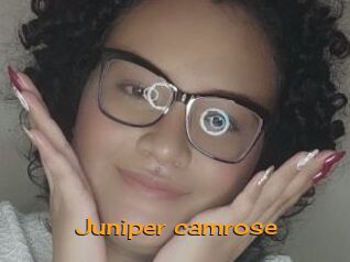 Juniper_camrose