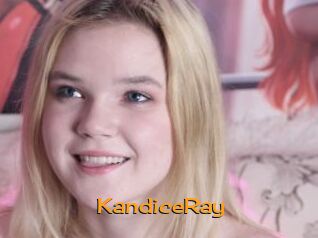 KandiceRay Sortez Couvert