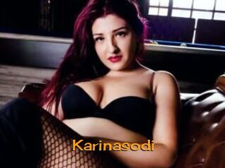 Karinasodi