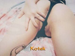 Kotek