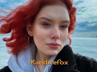 Kandicefox