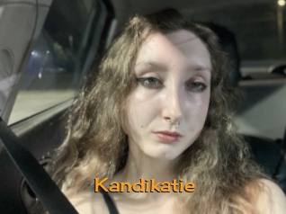 Kandikatie