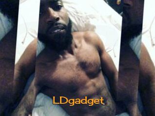 LDgadget