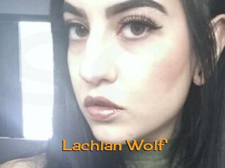 Lachlan_Wolf
