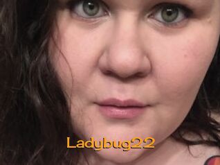 Ladybug22