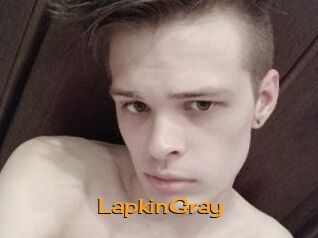 LapkinGray