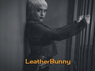 LeatherBunny