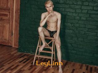 LeyLinn Sortez Couvert