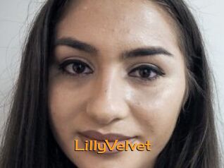 LillyVelvet