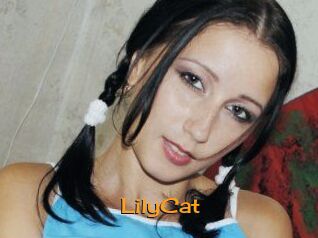 Lily_Cat_