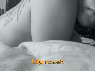 Lily_roseh