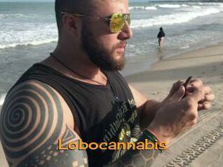 Lobocannabis