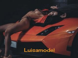 Luisamodel