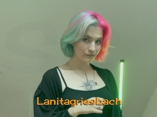 Lanitagriesbach