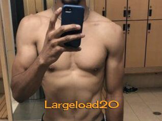 Largeload20