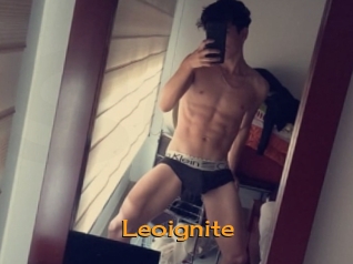 Leoignite