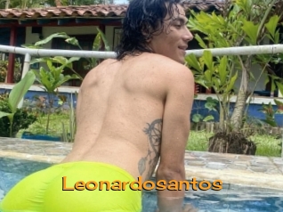 Leonardosantos