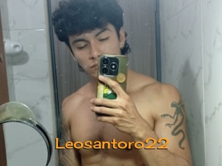 Leosantoro22