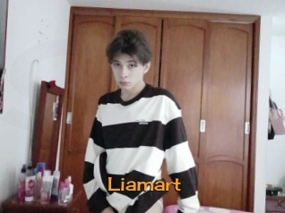 Liamart
