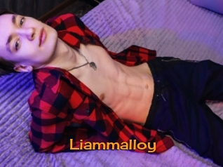 Liammalloy