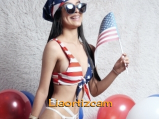 Liaortizcam