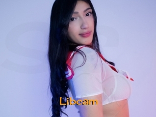 Libcam