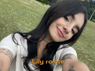 Lily_rosse