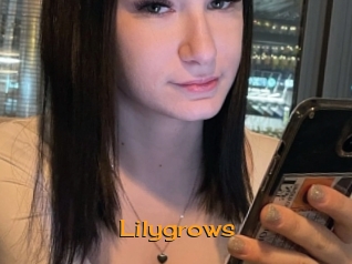 Lilygrows