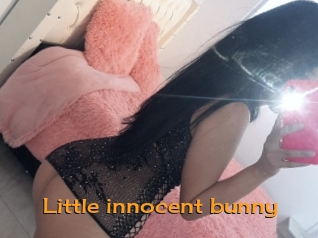 Little_innocent_bunny