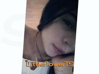 LittleflowerTS
