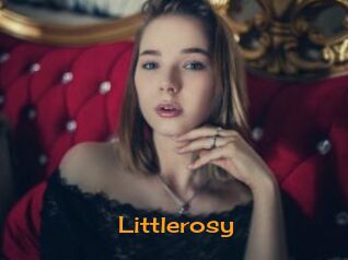 littlerosy Sortez Couvert
