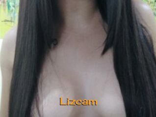 Lizcam