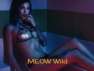 MEOW_Wild