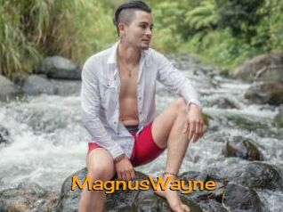 MagnusWayne