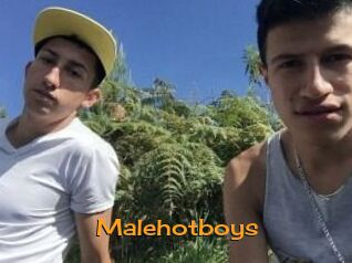 Malehotboys