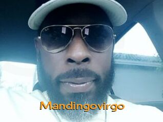 Mandingovirgo