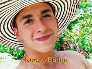 Mateo_Bunny