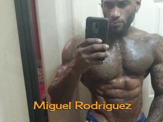 Miguel_Rodriguez