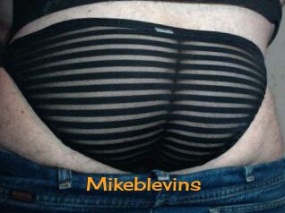 Mikeblevins