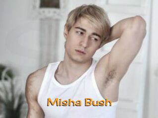 Misha_Bush