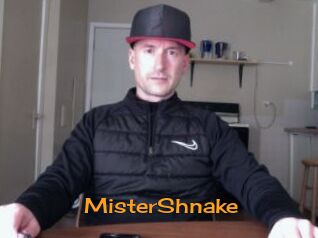 MisterShnake