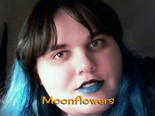 Moonflowers