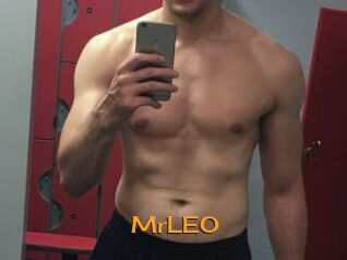 MrLEO