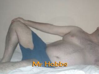Mr_Hobbs Sortez Couvert